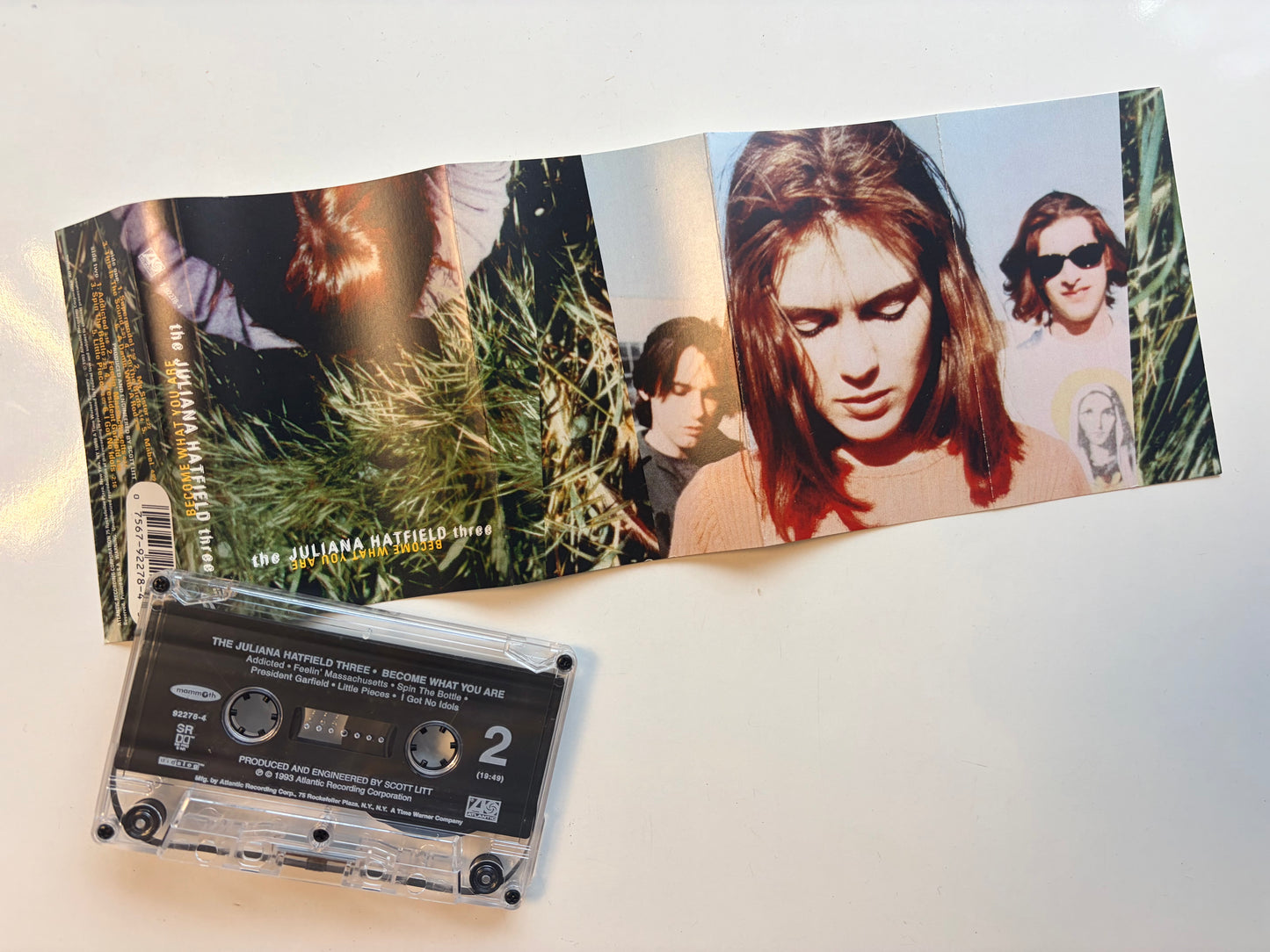 The Julianna Hatfield Three, Become What You Are