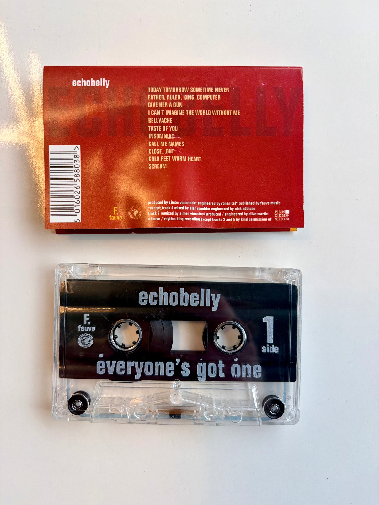 Echobelly, Everyone's Got One