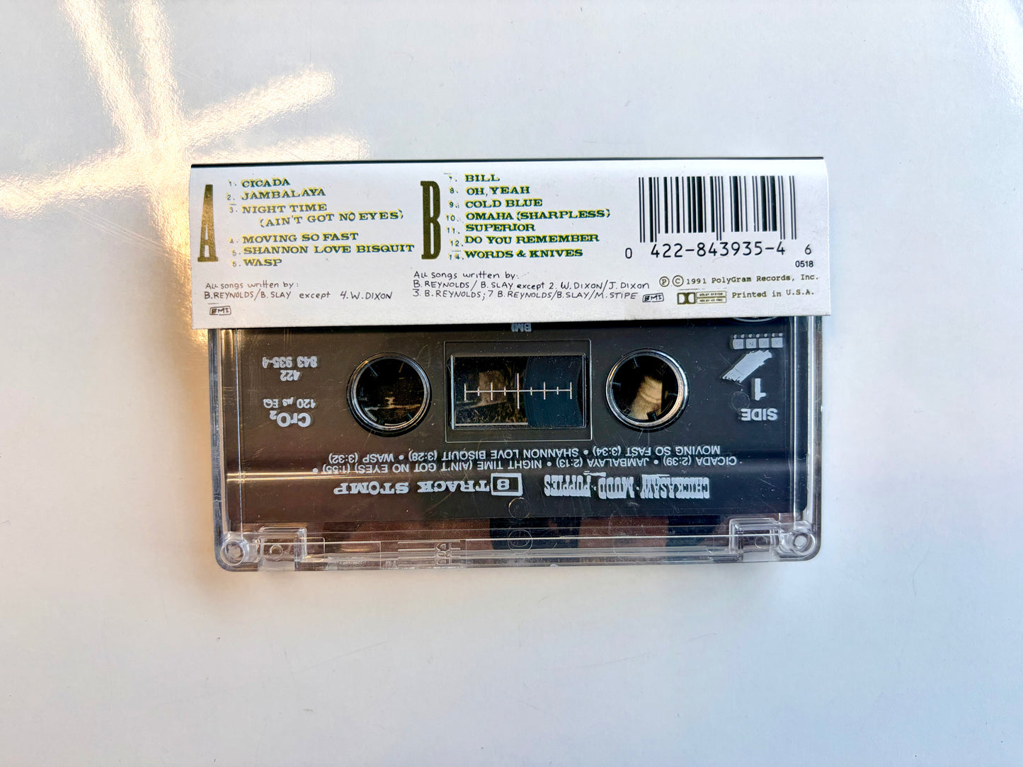 Chickasaw Mudd Puppies, 8 Track Stomp
