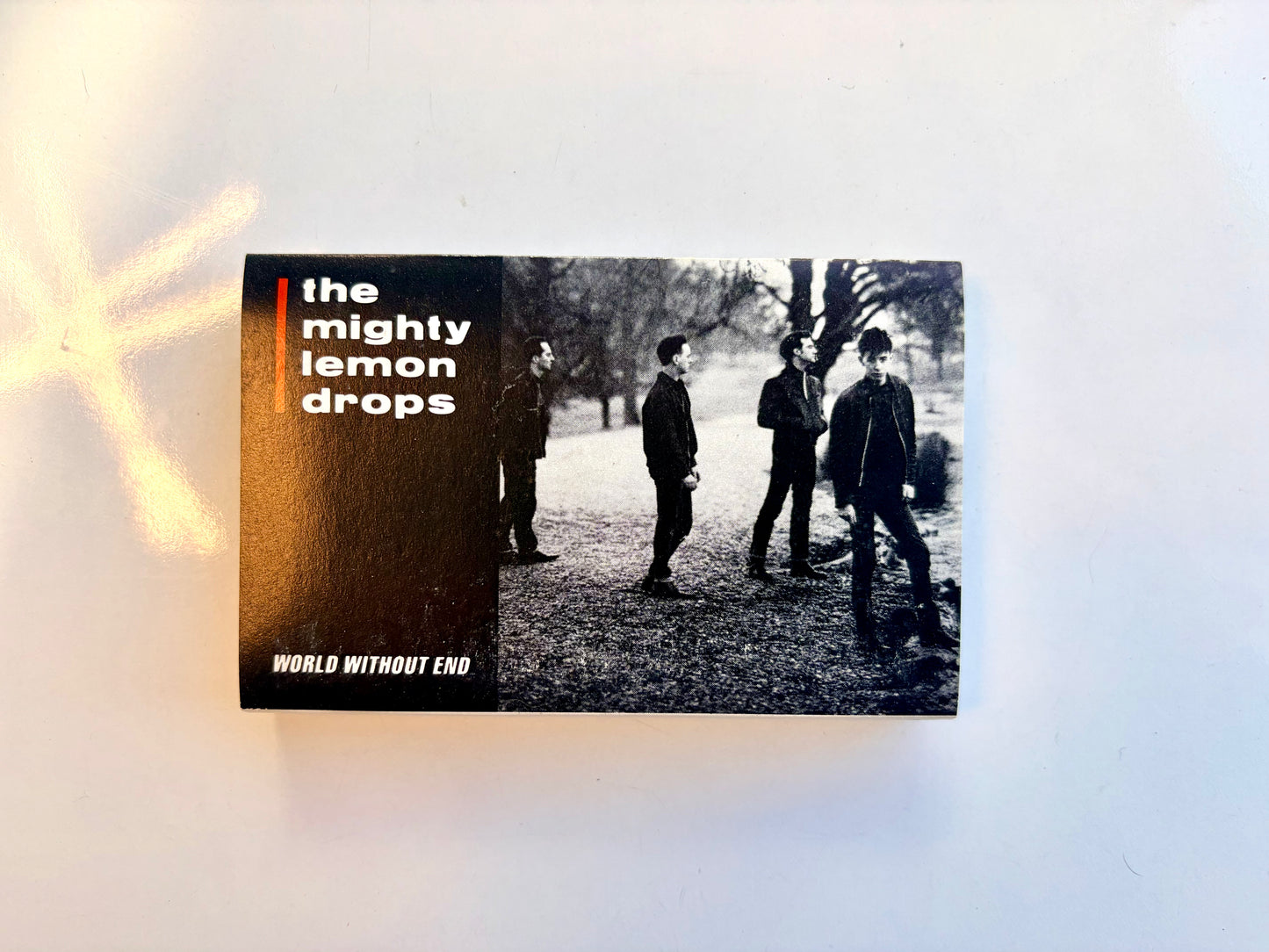 The Mighty Lemon Drops, World Without End