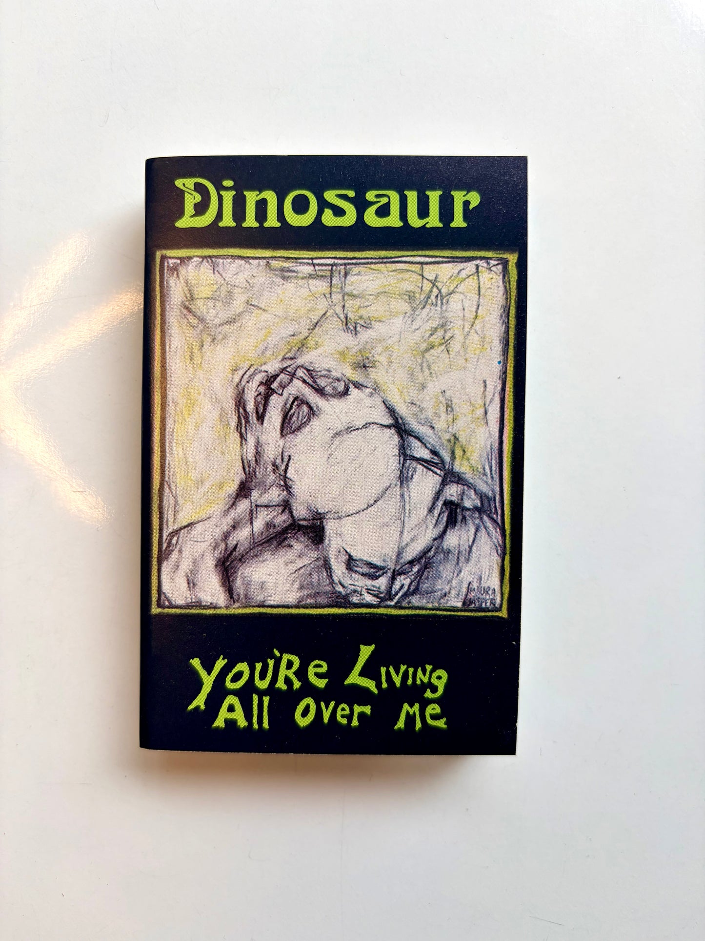 Dinosaur Jr., You're Living All Over Me