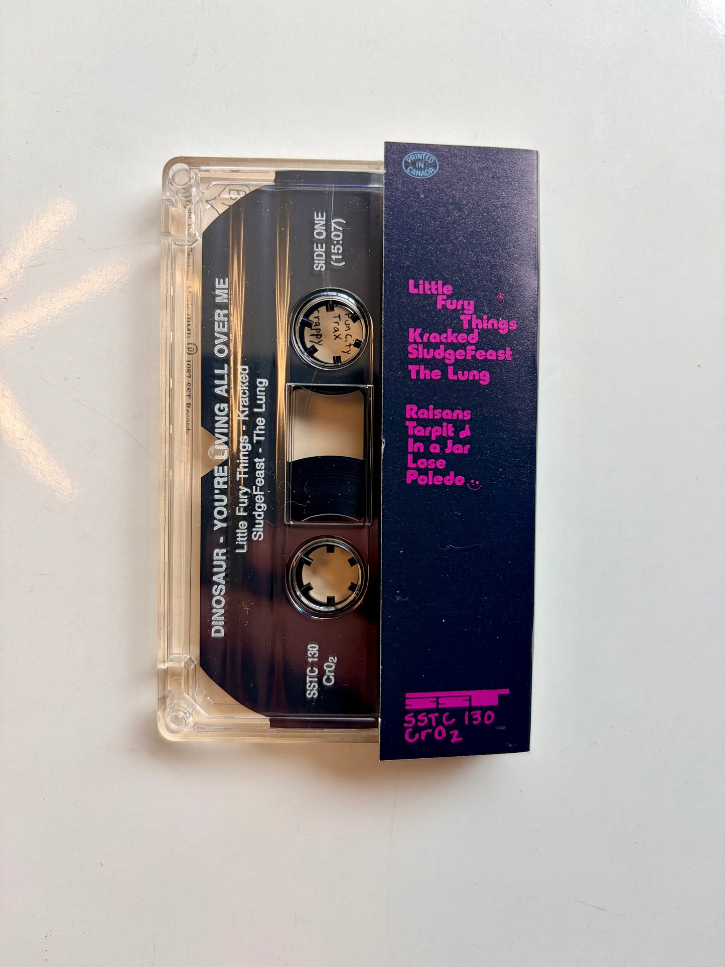 Dinosaur Jr., You're Living All Over Me