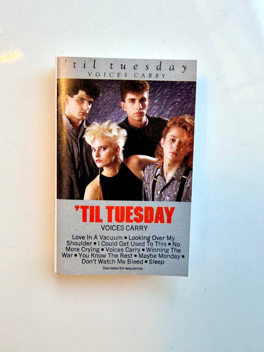 Til Tuesday, Voices Carry