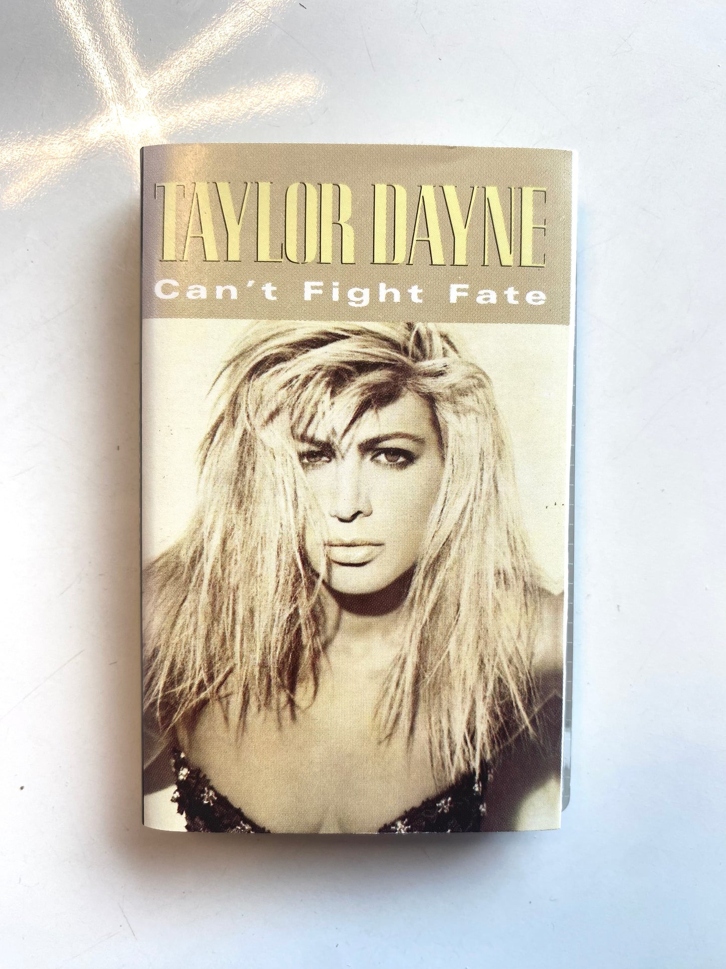 Taylor Dayne, Can't Fight Fate