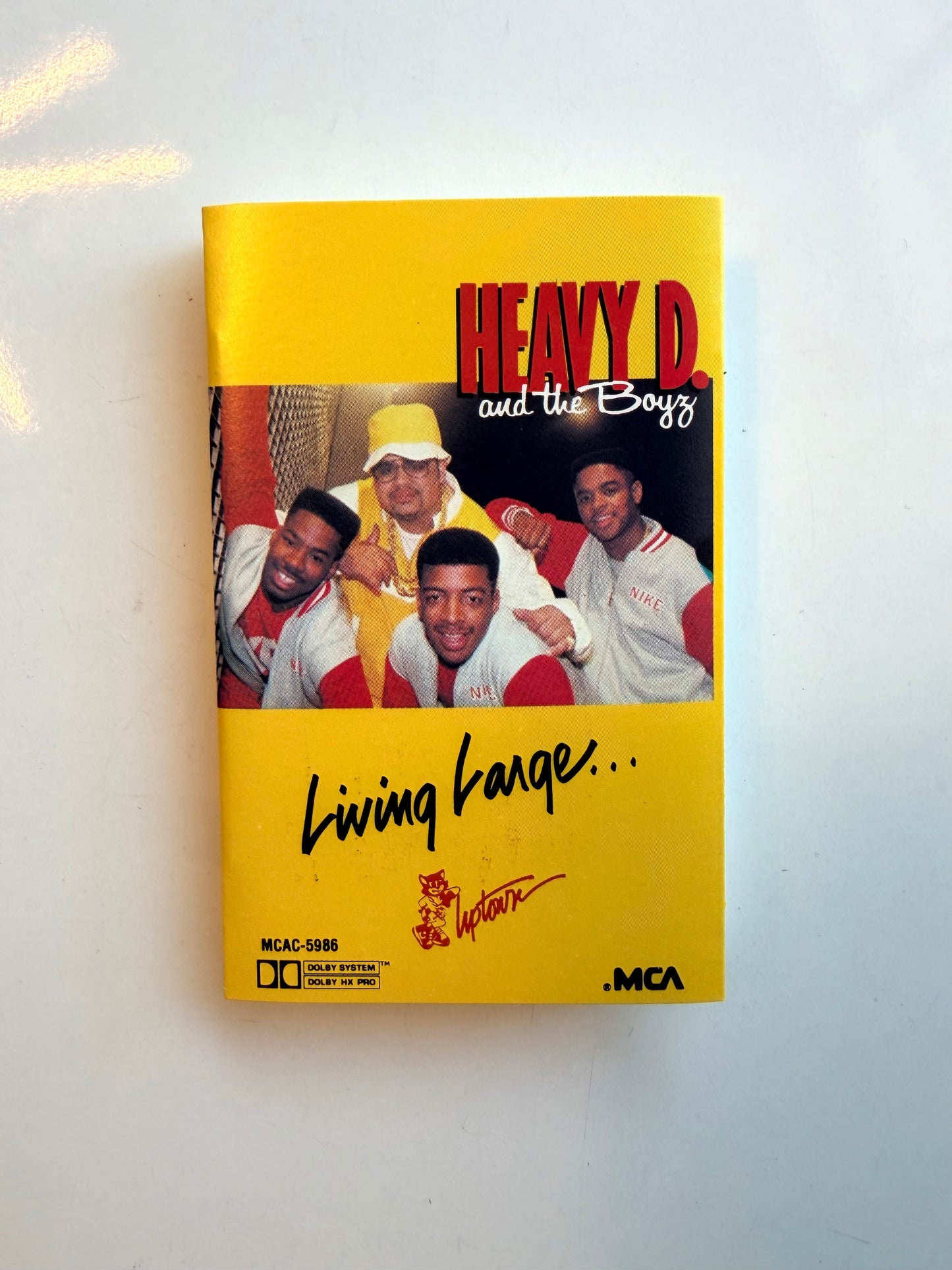 Heavy D & The Boyz, Living Large