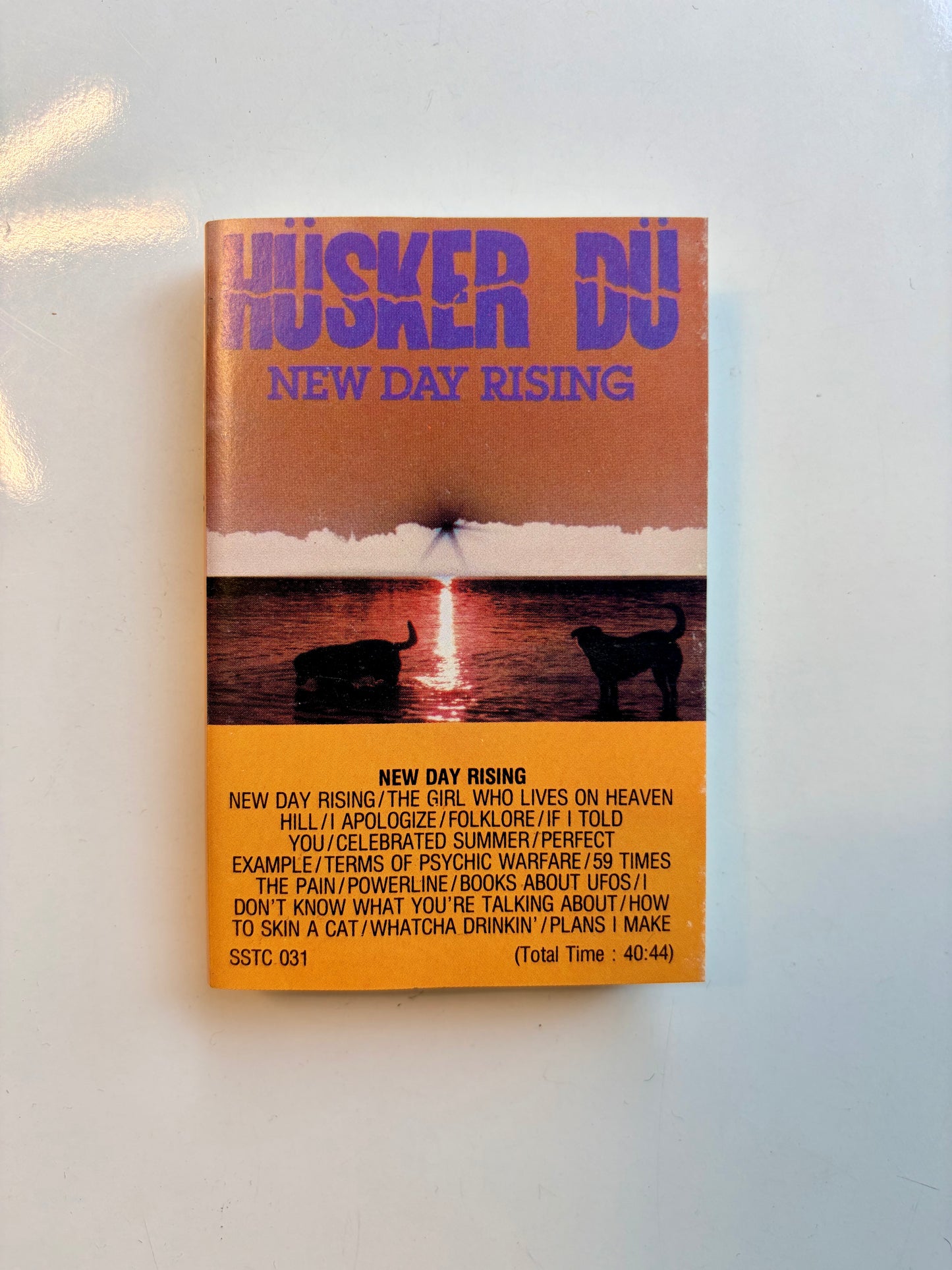 Hüsker Dü, New Day Rising