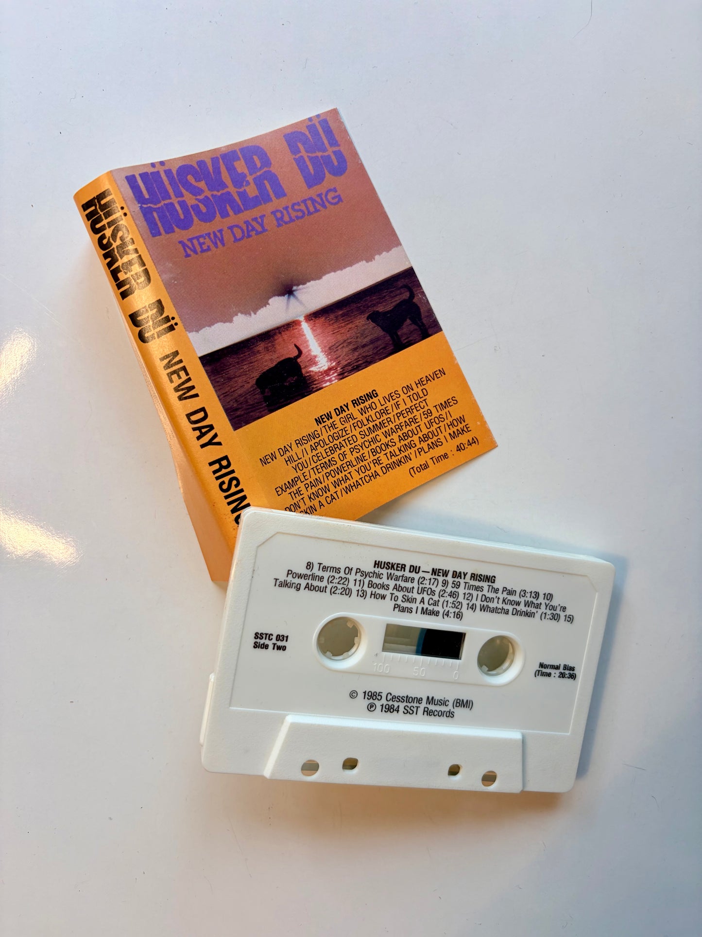 Hüsker Dü, New Day Rising