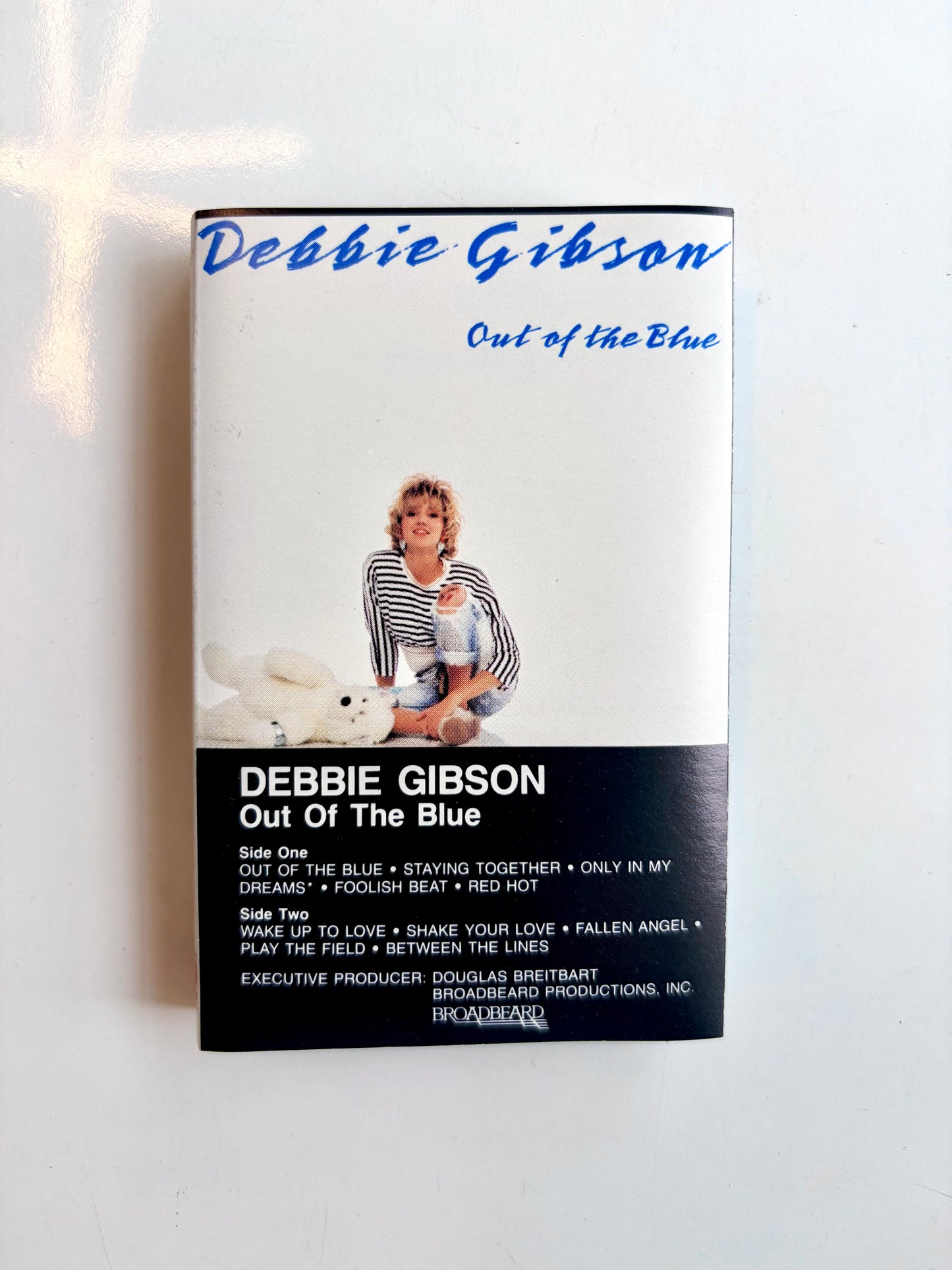 Debbie Gibson, Out Of The Blue