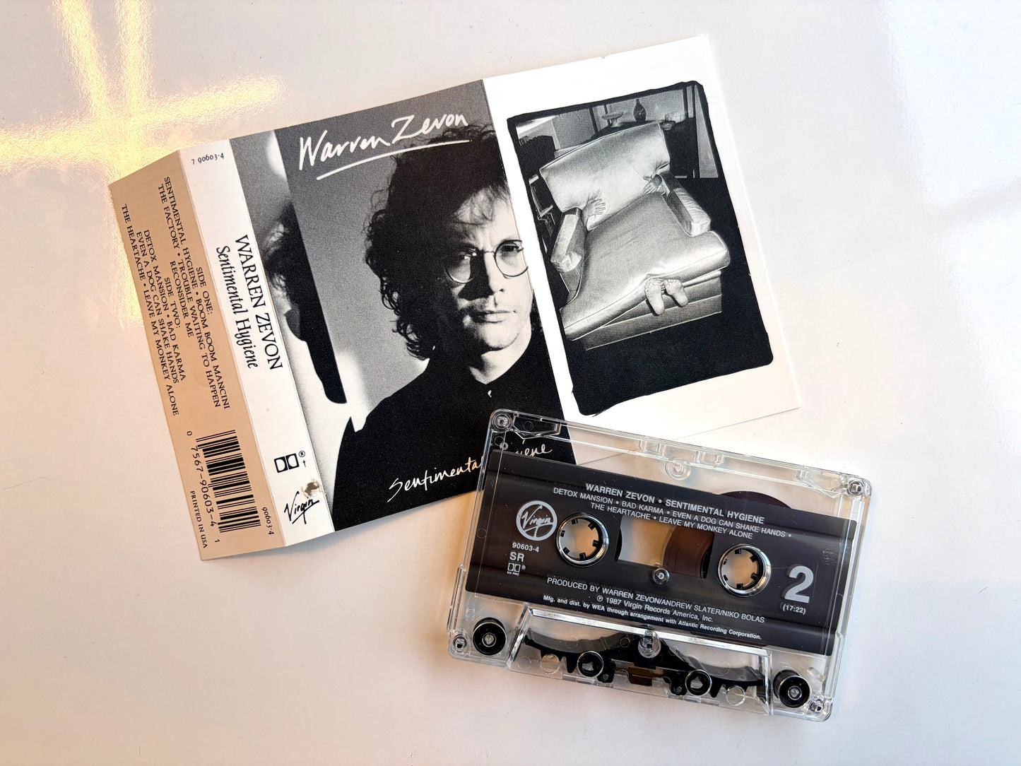 Warren Zevon, Sentimental Hygiene