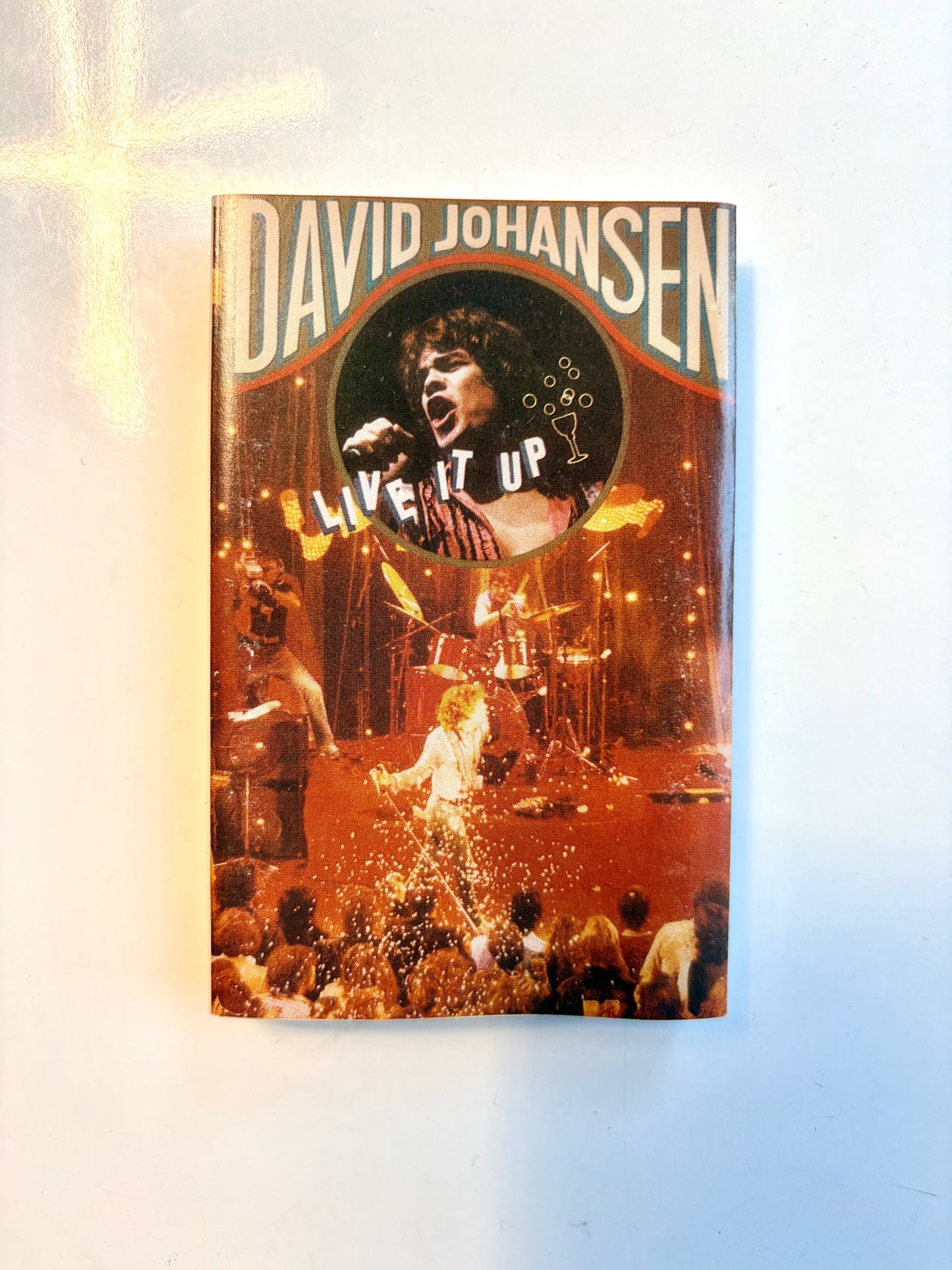 David Johansen, Live It Up
