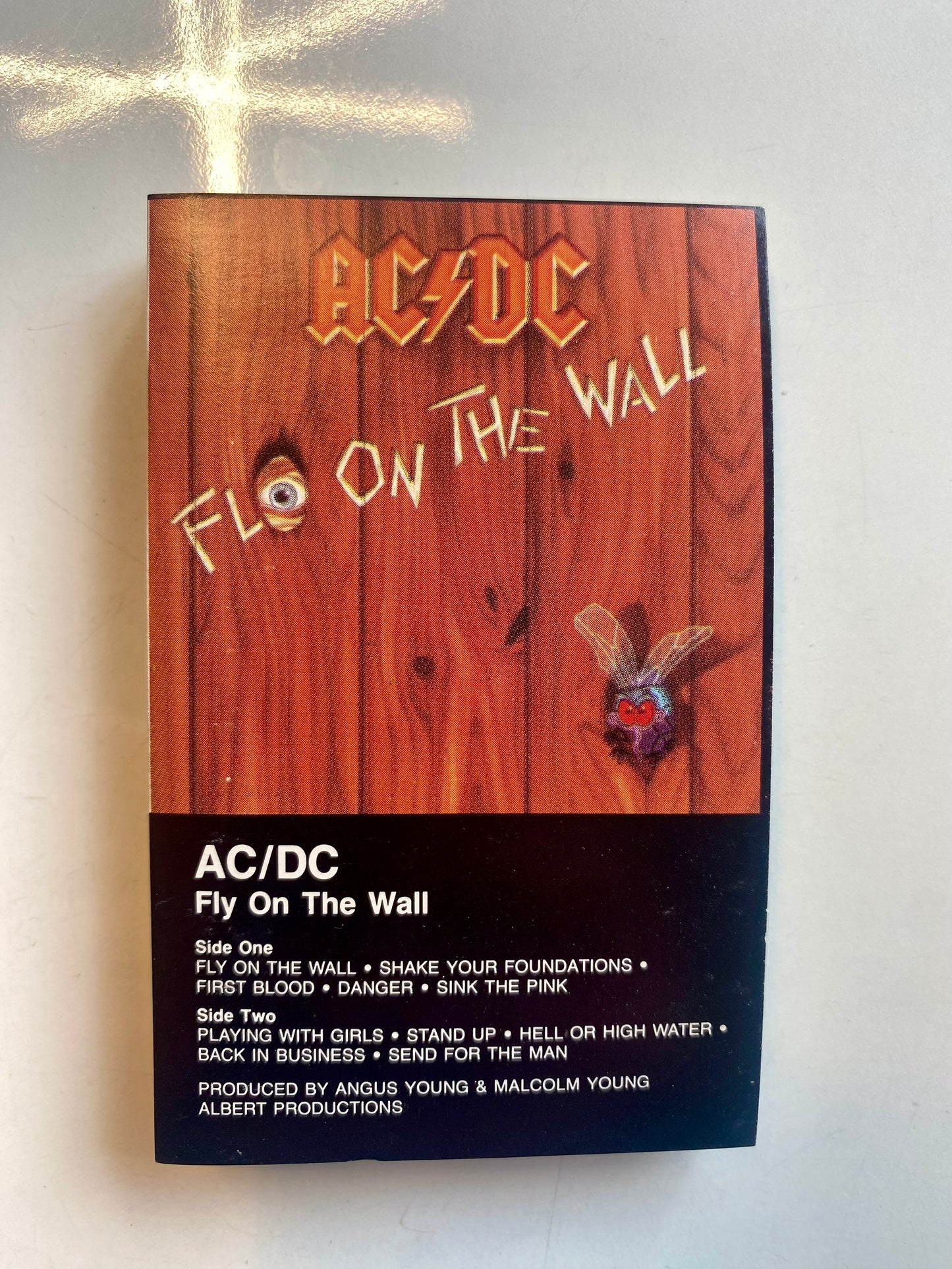 AC/DC, Fly on the Wall