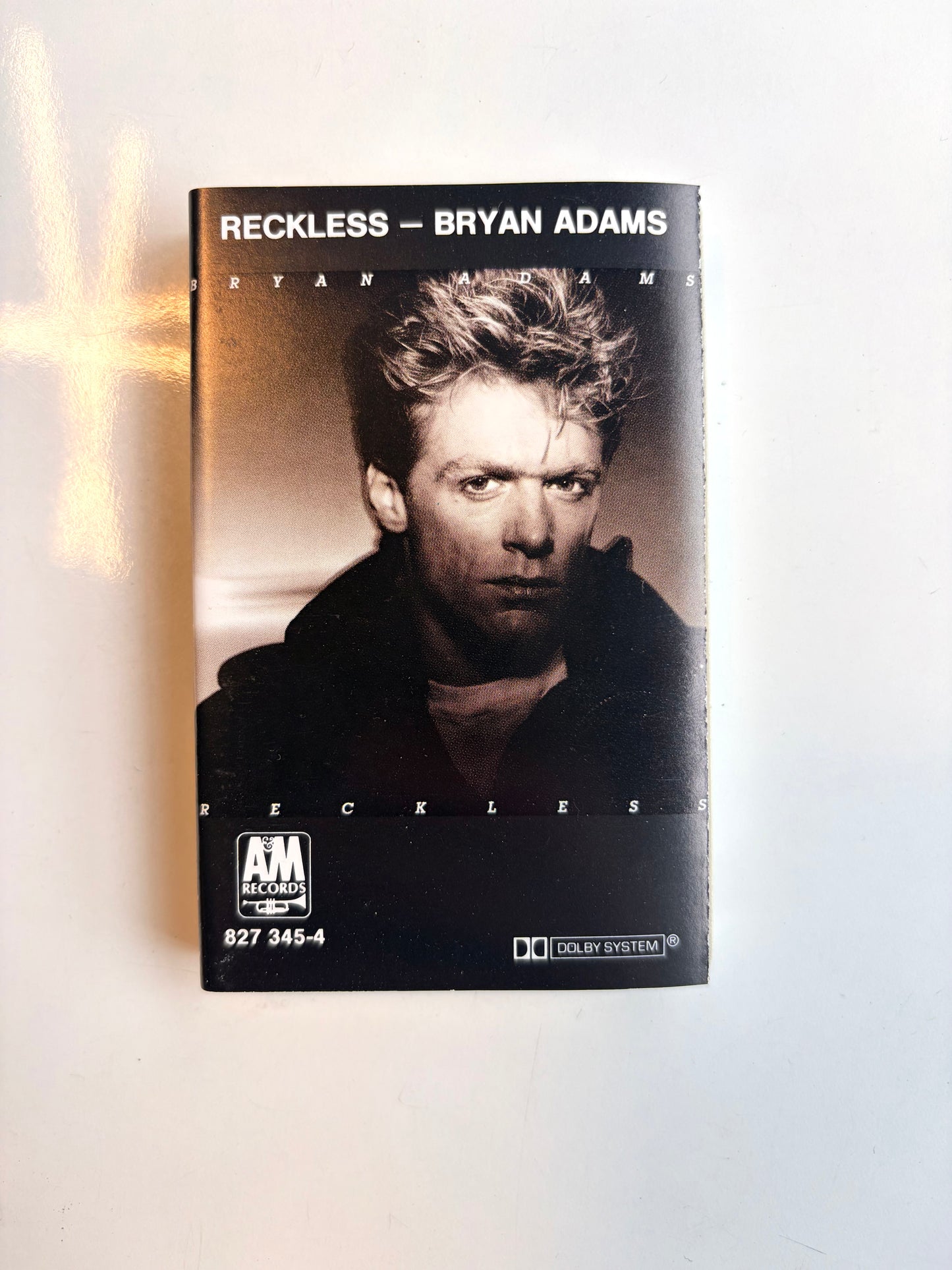 Bryan Adams, Reckless