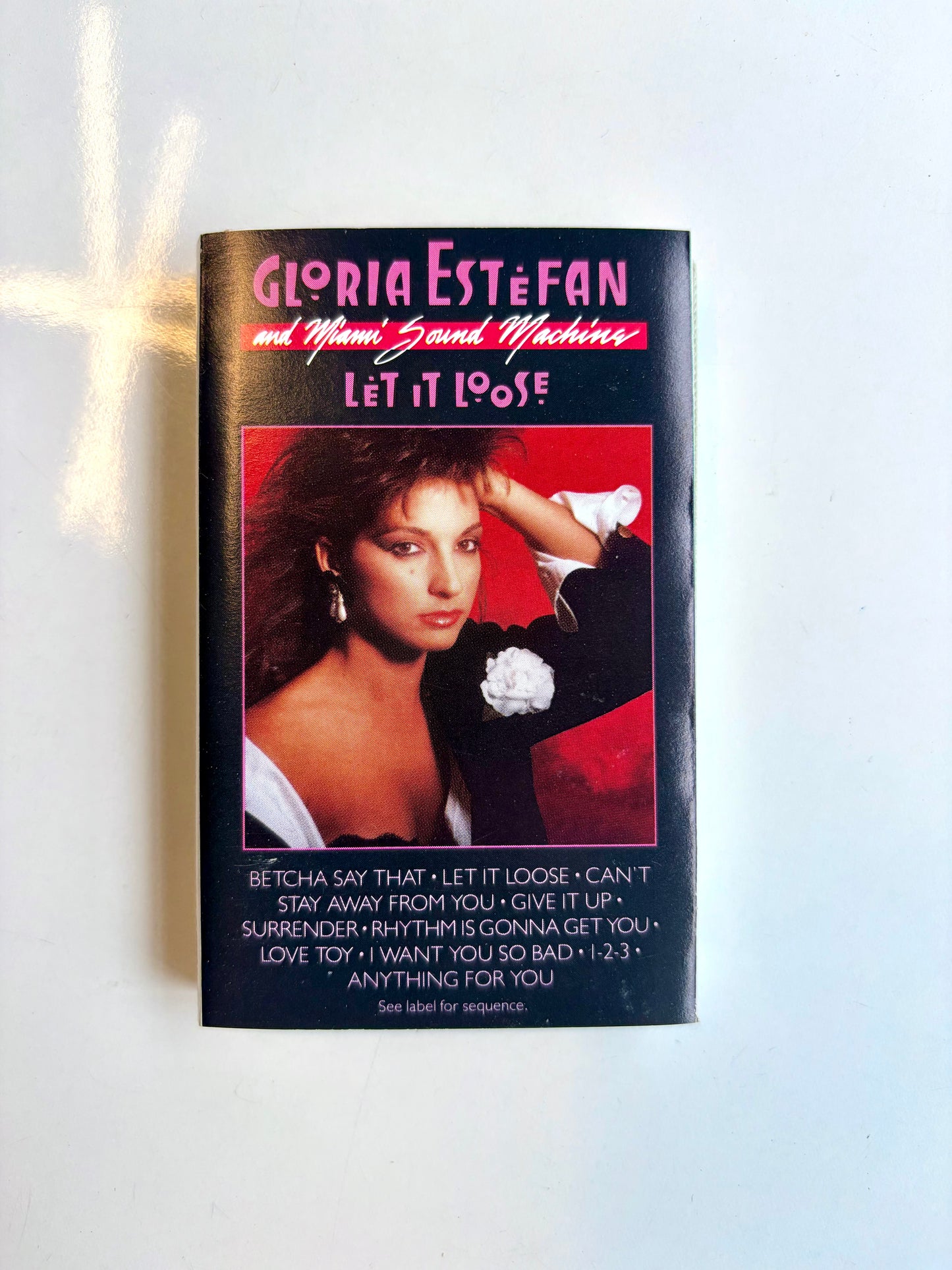 Gloria Estefan & Miami Sound Machine, Let It Loose