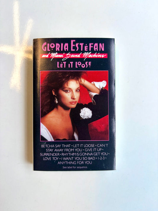 Gloria Estefan & Miami Sound Machine, Let It Loose