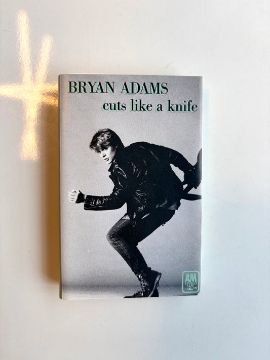 Bryan Adams, Cuts Like A Knife