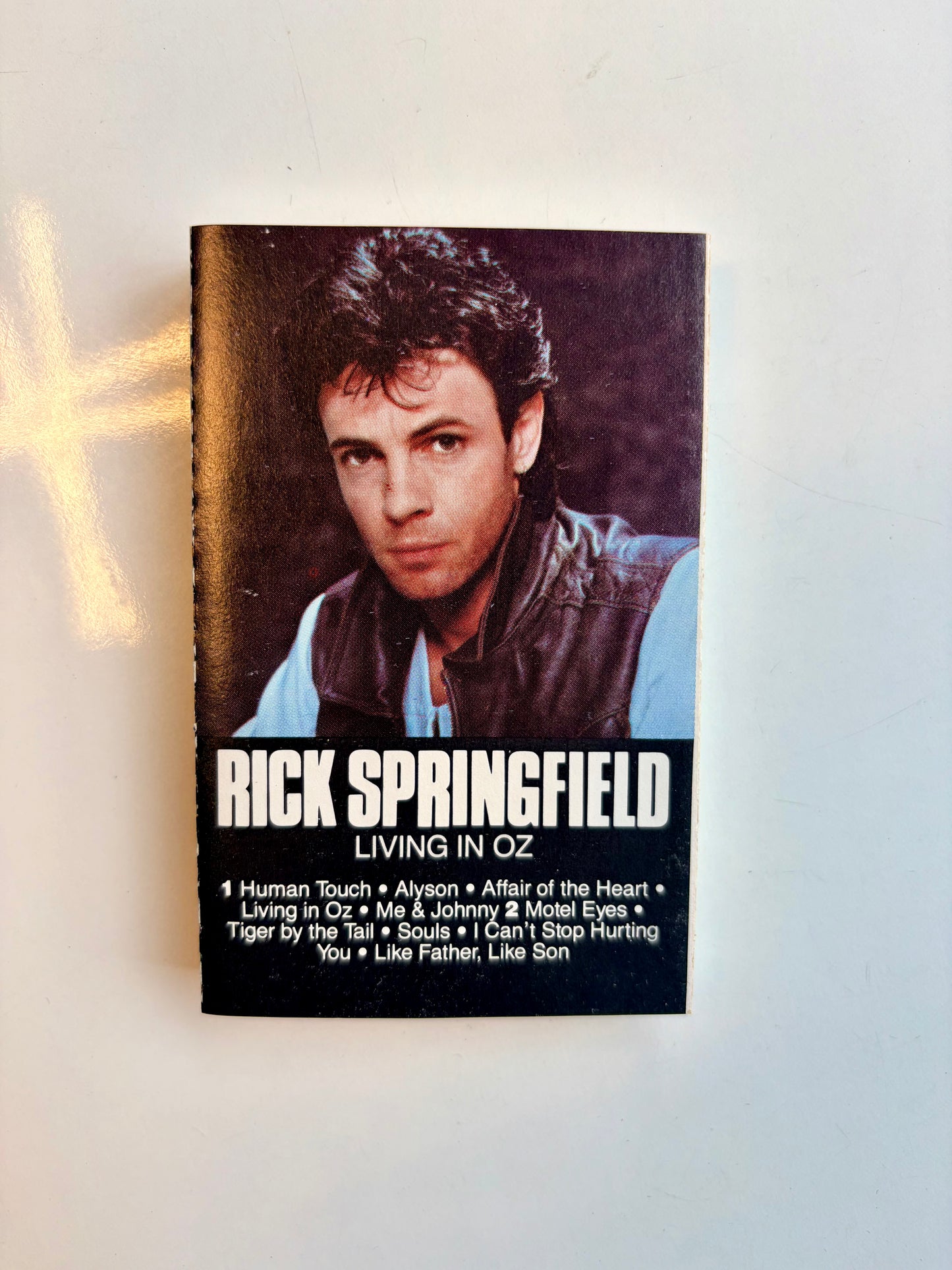Rick Springfield, Living In Oz