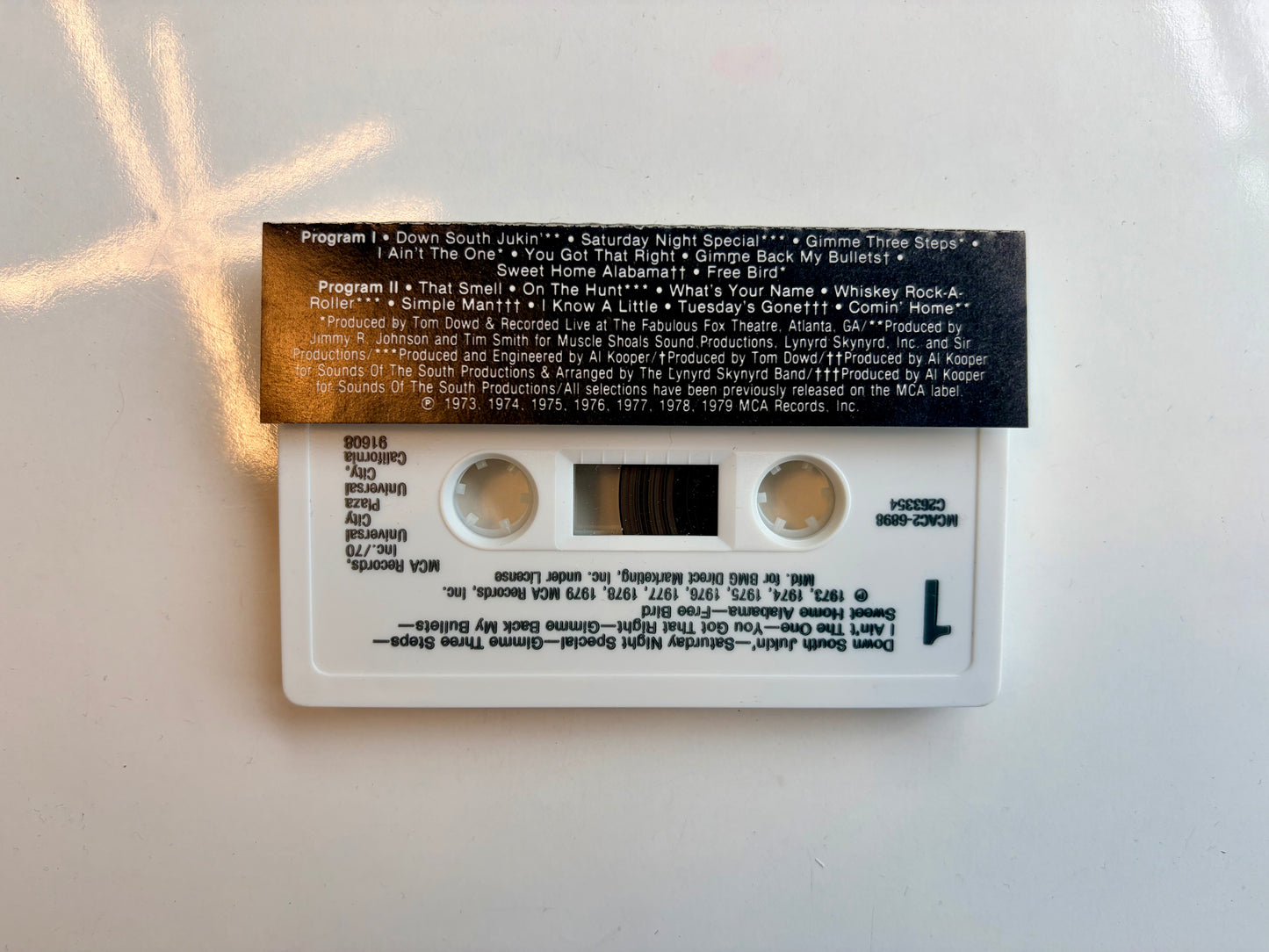 Lynyrd Skynyrd, Gold & Platinum