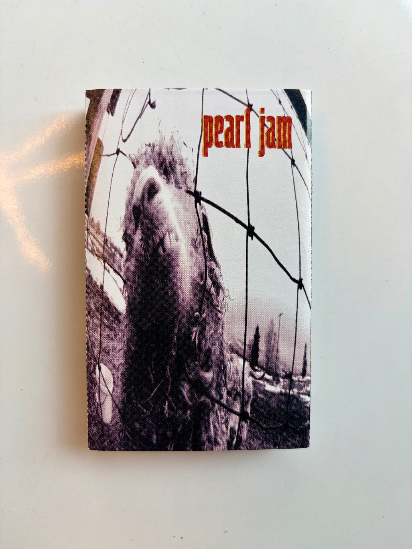 Pearl Jam, VS.