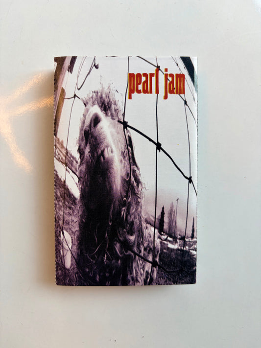 Pearl Jam, VS.