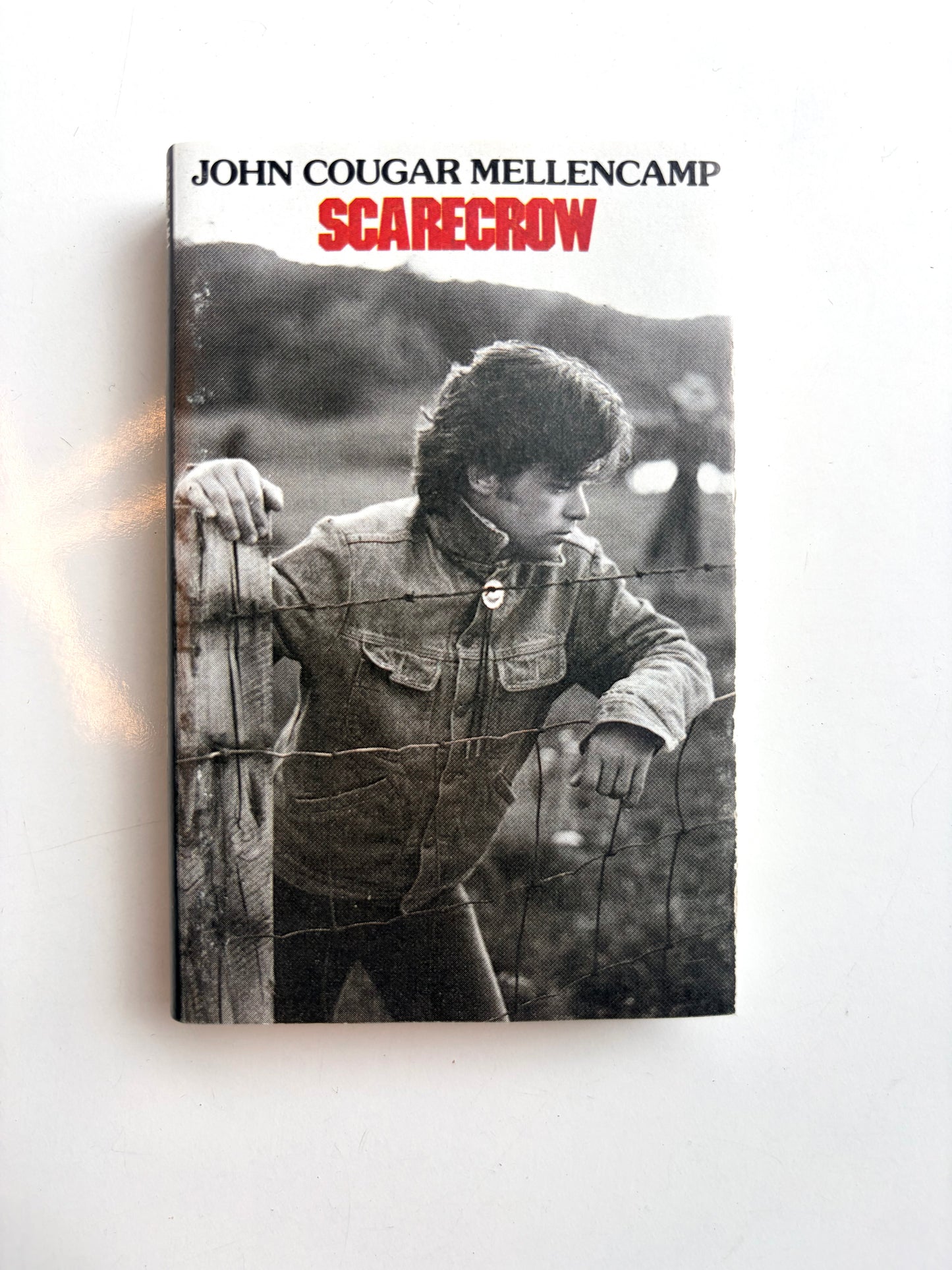 John Cougar Mellencamp, Scarecrow