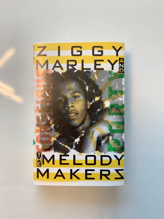 Ziggy Marley and the Melody Makers, Conscious Party